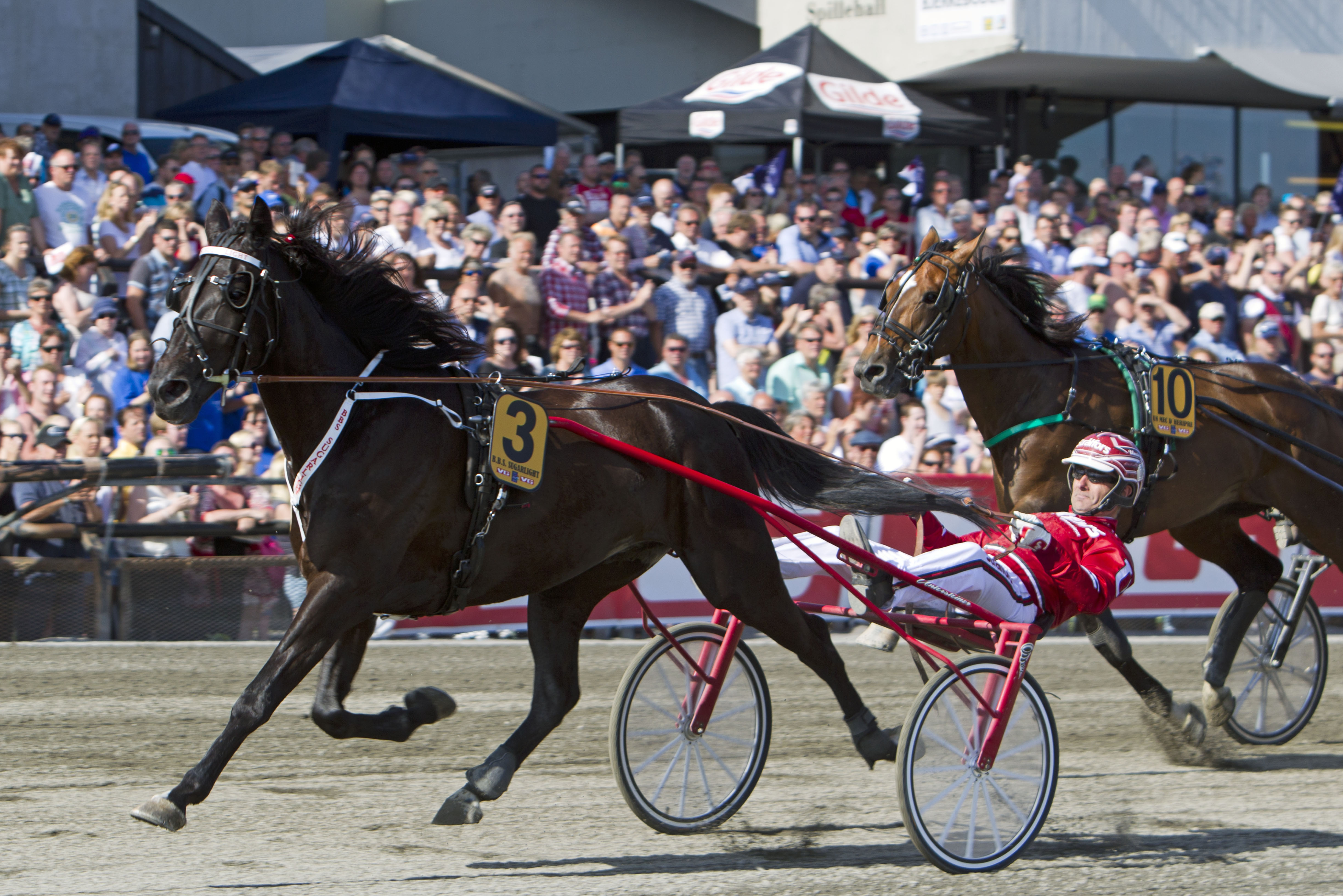 Dette ikoniske bildet er lett å like - den elegante ekvipasjen B.B.S Sugarlight med sin trofaste følgesvenn Peter Untersteiner foreviget runden igjen til mål i 2015-utgaven av Oslo Grand Prix. Foto(Hesteguiden.com)
