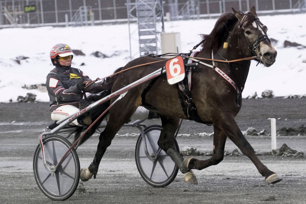 Faks Trym var den flittigste poengplukkeren i Vinterserien Midt-Norge. Foto: hesteguiden.com