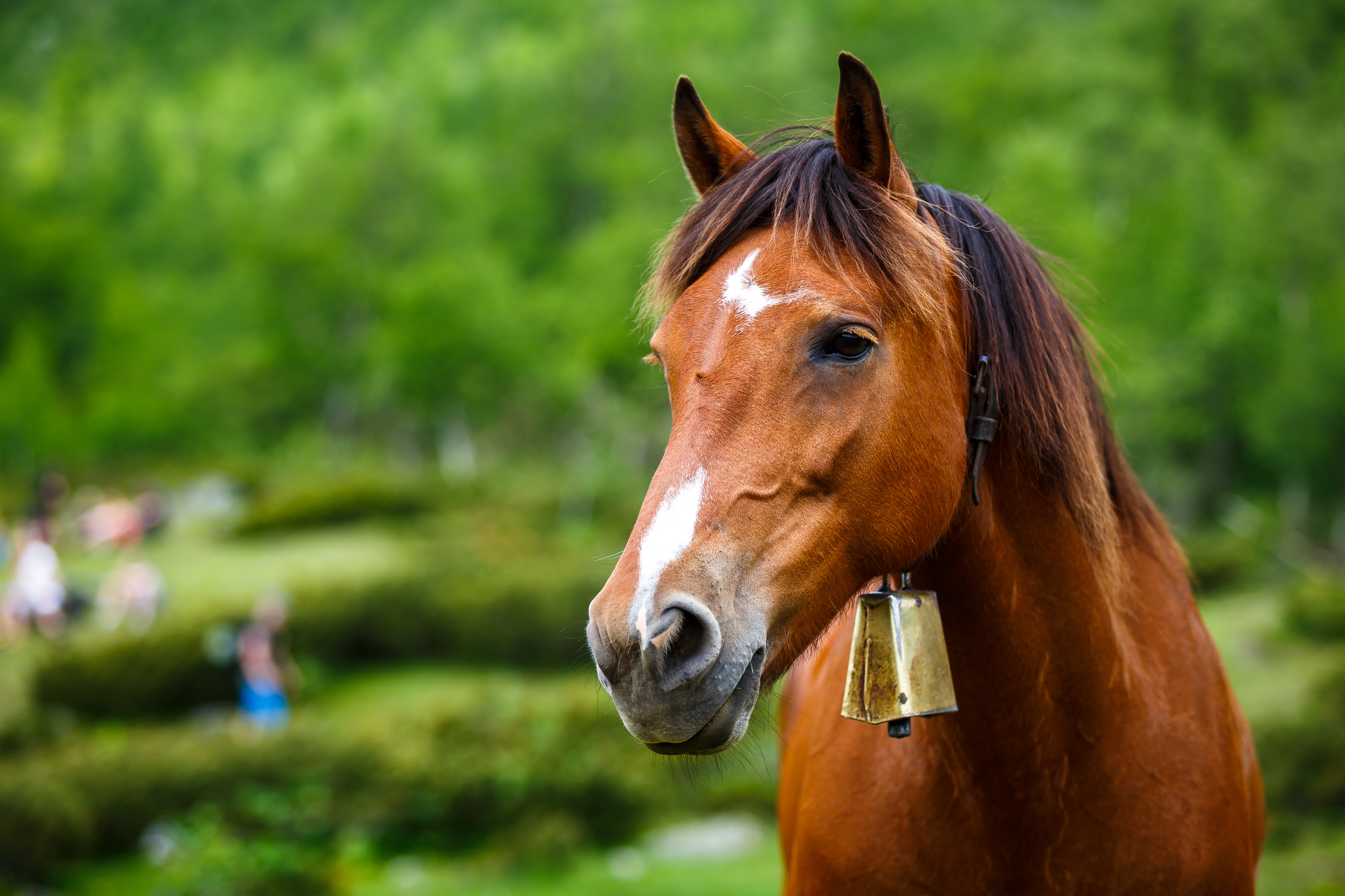 Foto: Eirik Stenhaug